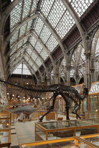 OXFORD-NATURAL HISTORY-01